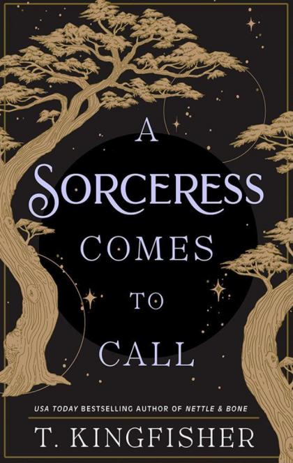 A Sorceress Comes to Call: A Dark and Enchanting Tale of Power, Abuse, and Redemption